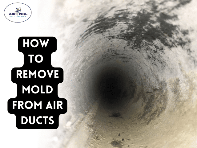 How to fix mold in air ducts