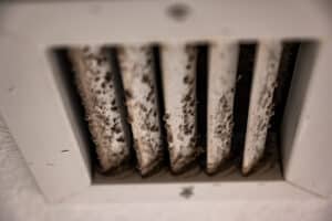 How Mold Affects Your Health